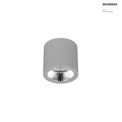 downlight APOLLO MIDI round, DALI controllable, faceted IP20, powder coated, silver dimmable
