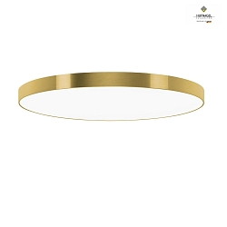 LED ceiling luminaire AURELIA X,  40cm, 30W 3000K 3500lm, dimmable, brushed gold / white
