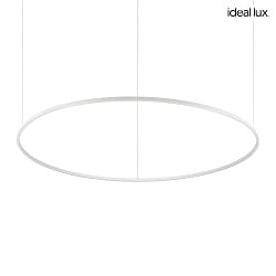 pendant luminaire ORACLE SLIM SP LED round, DALI controllable IP20, white dimmable
