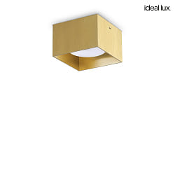 ceiling luminaire SPIKE square GX53 IP20, satined brass dimmable