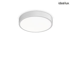 ceiling luminaire RAY 40 IP44, white dimmable