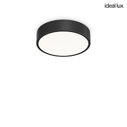 ceiling luminaire RAY 35 IP44, black dimmable