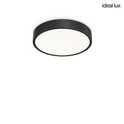 ceiling luminaire RAY 40 IP44, black dimmable