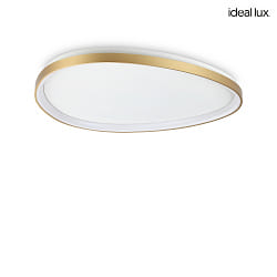 ceiling luminaire GEMINI 81 DALI controllable IP20, brushed brass dimmable
