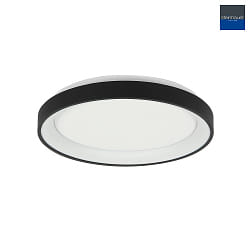 ceiling luminaire RINGLEDE IP20, black dimmable